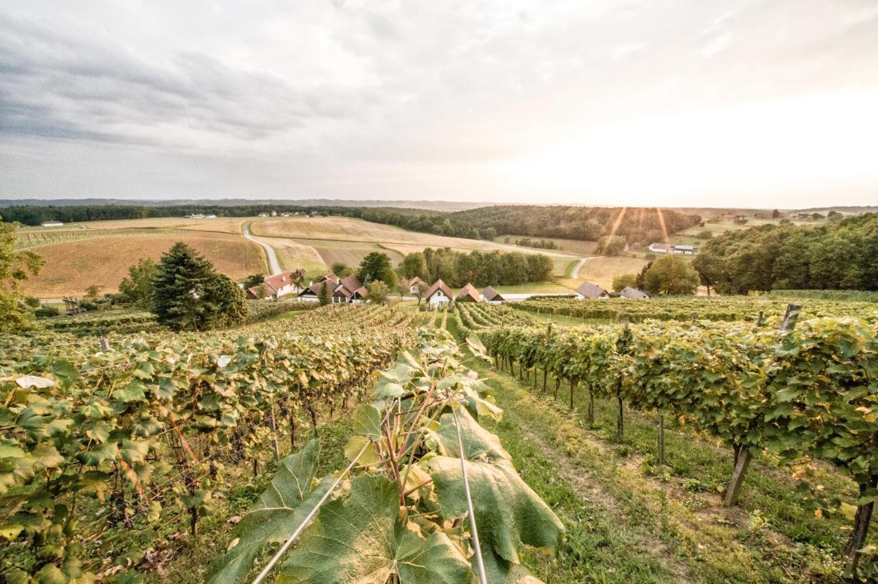 Wiener Kellerstoeckl - Das 13Er Eltendorf Bagian luar foto